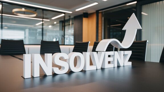 Insolvenz – Auswege aus der Krise oder Krise als Ausweg?