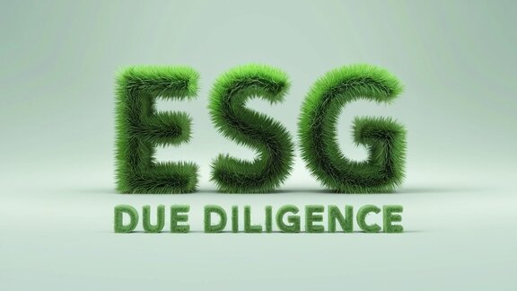 ESG Due Diligence